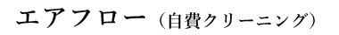 エアフロークリーニング(自費クリーニング)